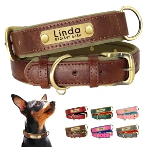 Personalized Pet ID Necklace Free Engraved Name